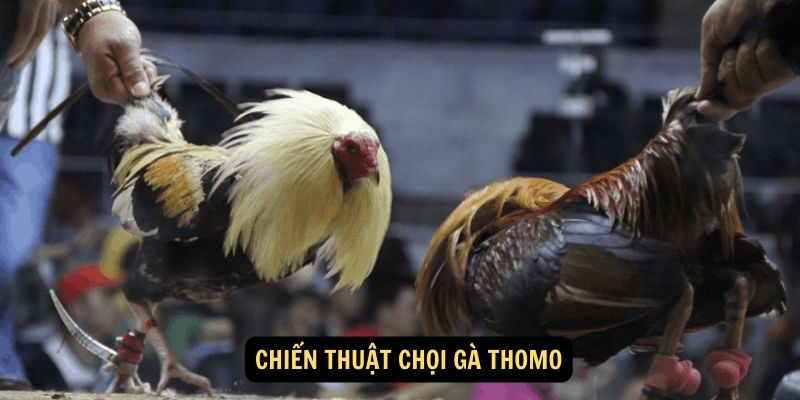 bat-keo-choi-ga-thomo